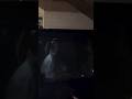 Malaika Arora Heads Out After Attending an Event