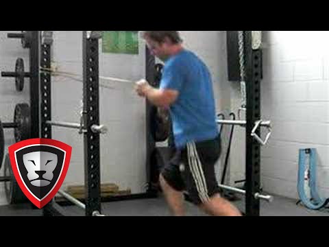 Getstrength.com Strength Bands Lunge/Row and push press