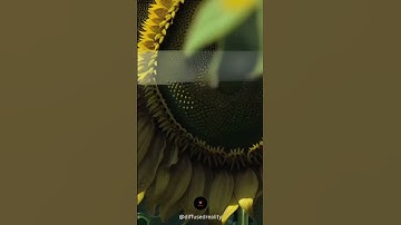 Stable diffusion | Ai - art | Unbelievable | diffused reality...#aiart #stablediffusion #mindbending