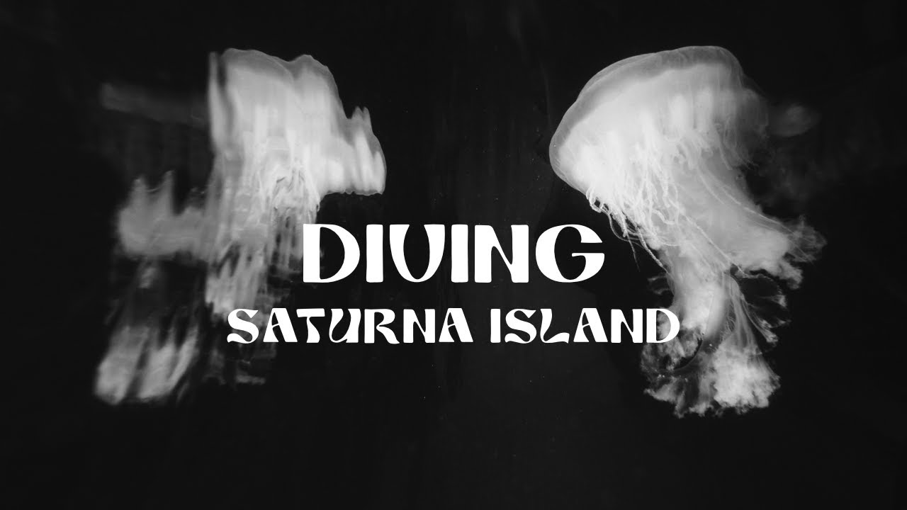 Diving Saturna Island | Gulf Islands Underwater Adventure in British Columbia