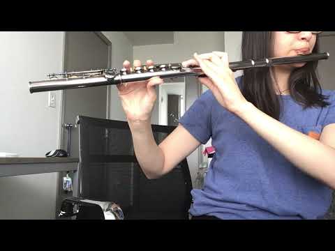 the-untamed:-wuji/wangxian--flute-cover