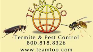 Team Too - Pest Control By a Family For A Family