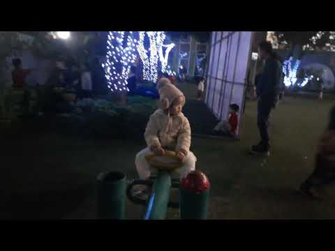 A night at Wonderland Preschool