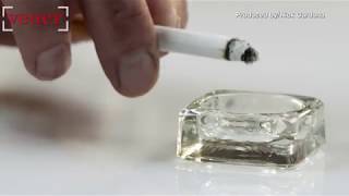 Breathing The Air In Delhi, India Is The Equivalent Of Smoking 44 Cigarettes A Day