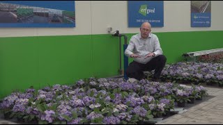 The perfect drainage