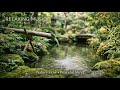 🌿 From Stress to Sleep – Calming Water Sounds & Ambient Music