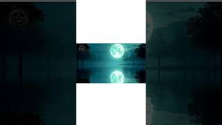 Download Lagu Evening Gratitude Meditation | Unwind, Release Stress \u0026 Manifest Calm Before Sleep MP3