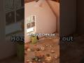 Hozy - Good Game, Questionable Price ?