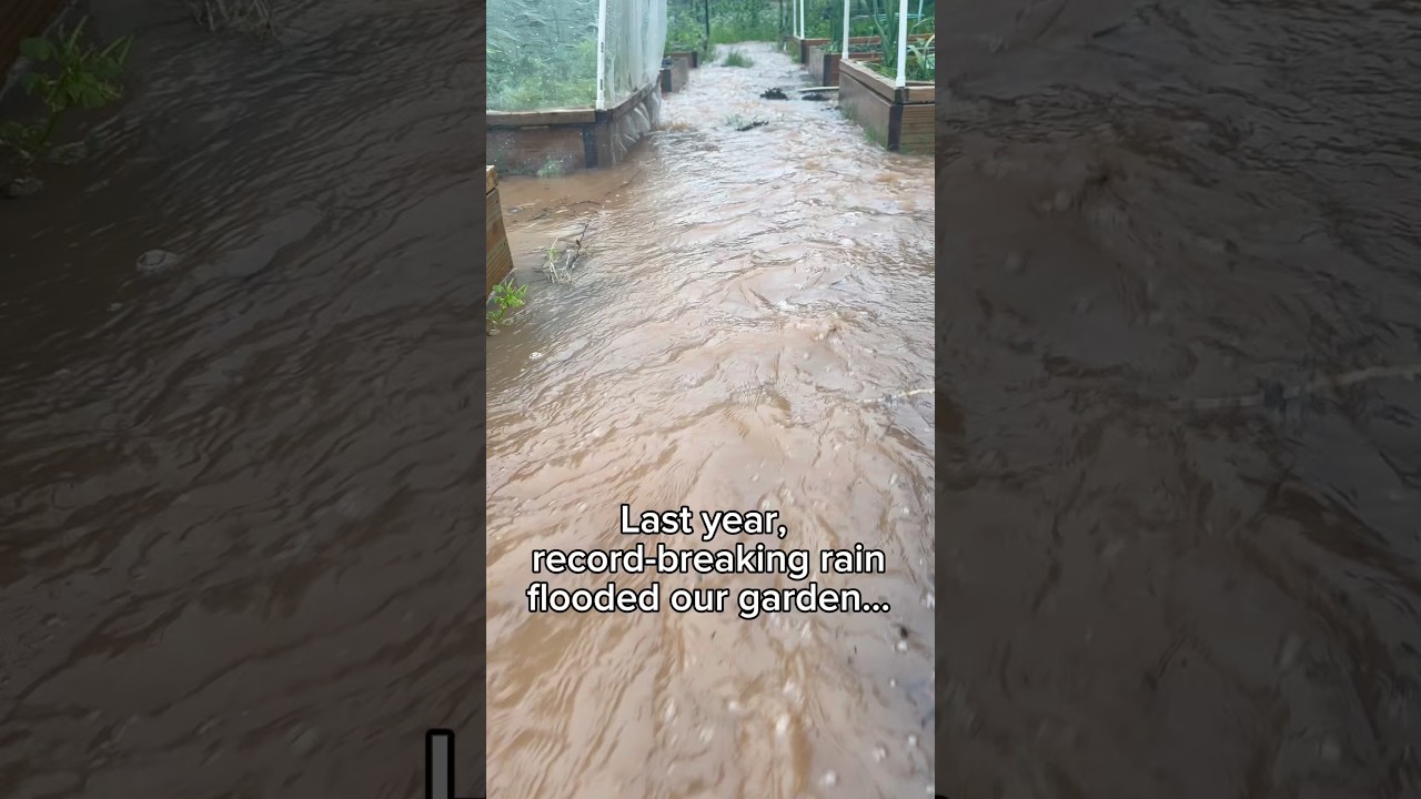 Uploads from From Seed to Spoon Garden Planning App