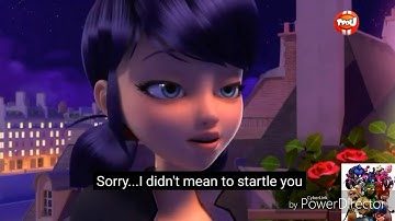 Shape of you - Maraculas ladybug