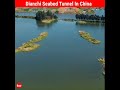 Dianchi seabed tunnel in china  factovation  purnima kaul