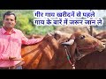 गिर गाय पालन कैसे करे गिर गाय क्या सच मे इतना दूध देती है | Gir Cow Dairy Farm