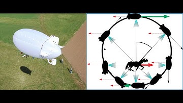Viewpoint-driven Formation Control of Airships for Cooperative Target Tracking