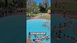 Domino style Human Chain Action in the Swimming Pool❗😮 #shorts #shortvideo
