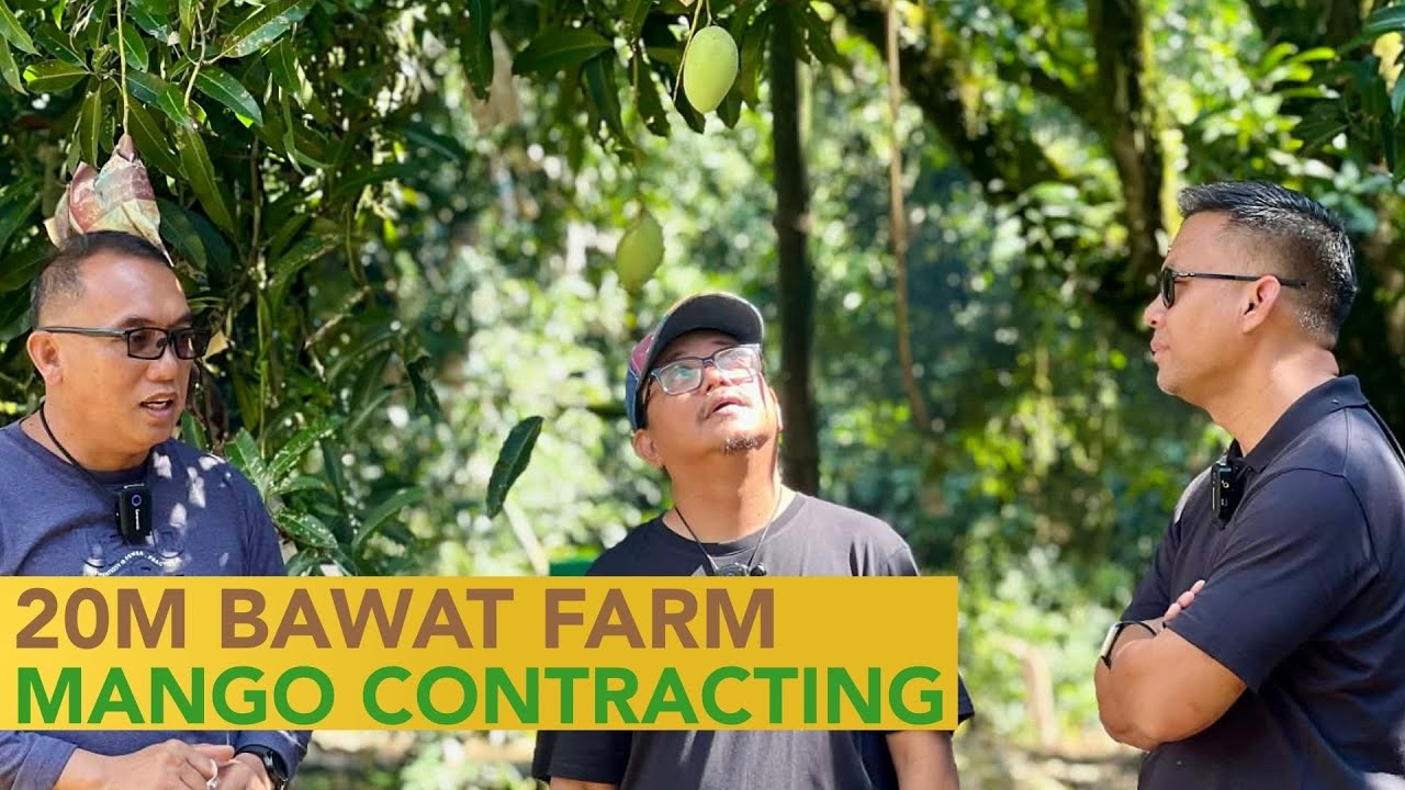 Big Time! 20M  per Farm Location sa Mango Davao