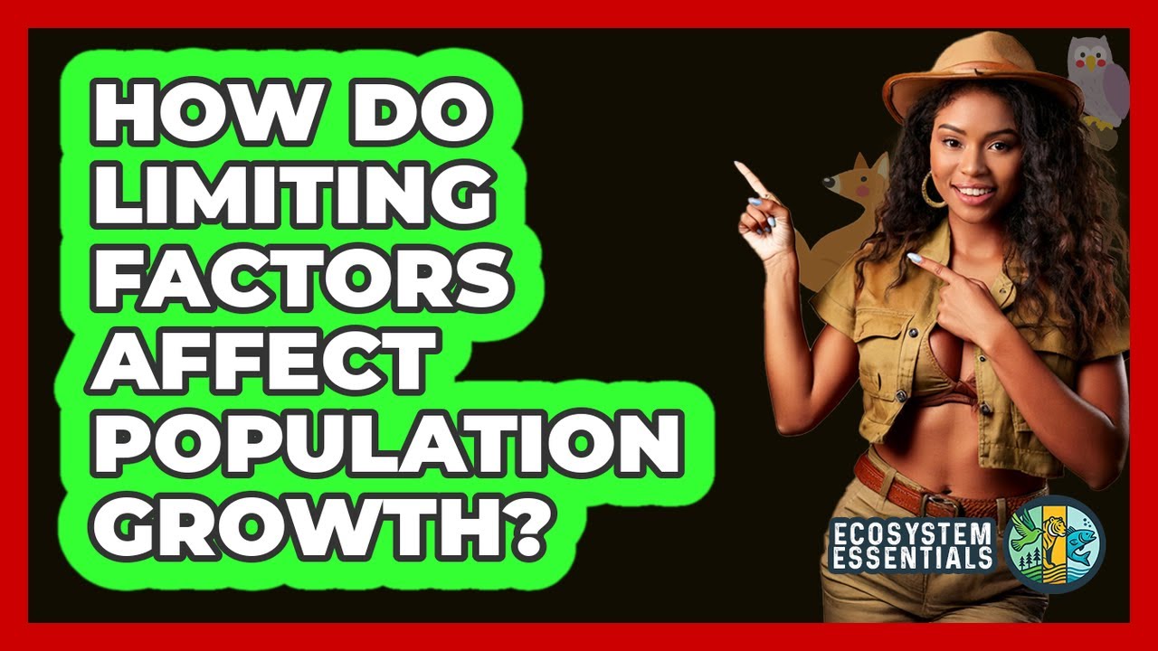 How Do Limiting Factors Affect Population Growth?
