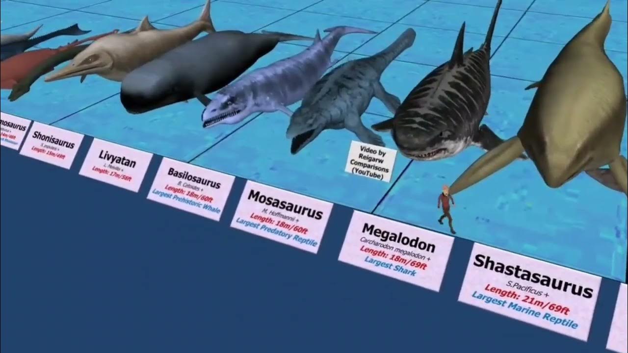 Sea Size Comparison morbiusfacts YouTube sea-size-comparison-morbiusfacts-youtube