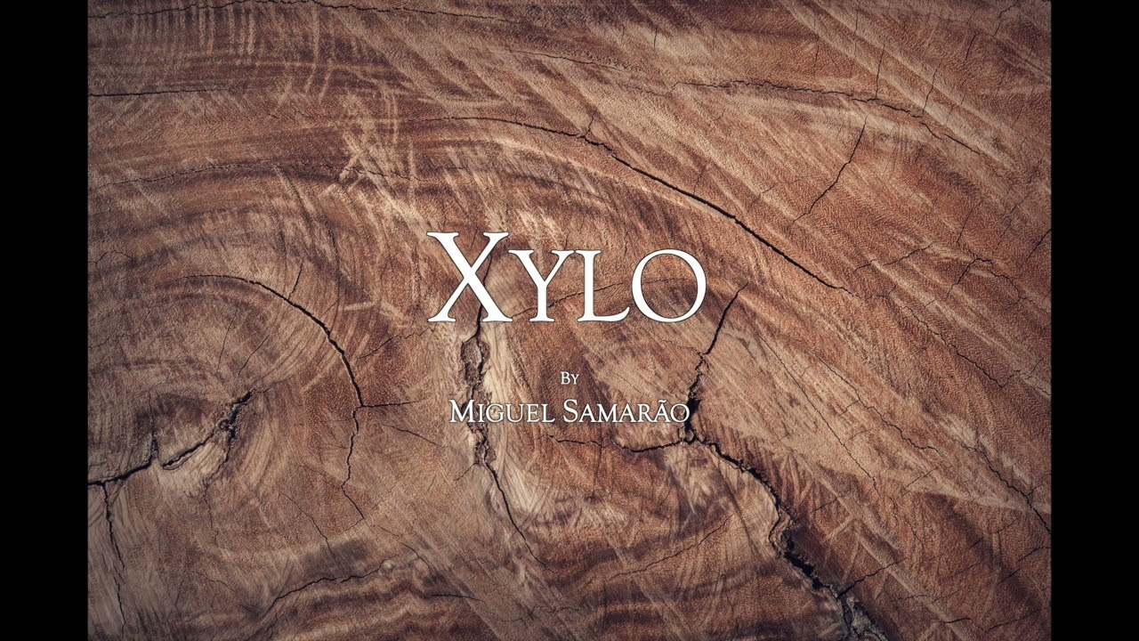 Xylo YouTube