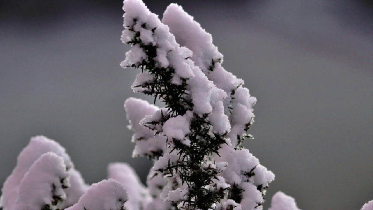 Gordon Muir: Perth Photographer