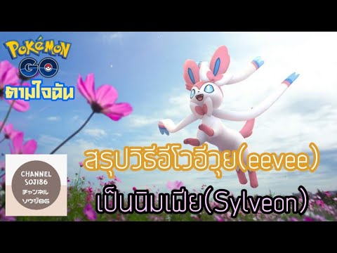 สรุปวิธีอีโว "อีวุย(Eevee)" เป็น "นิมเฟีย(Sylveon)" (Pokemon GO ตามใจฉัน)