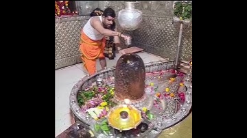Mahakal Abhishek ujjain #status #whatsapp Mahadev aarti #status #bholenath #shankar #shiv #mandir mp