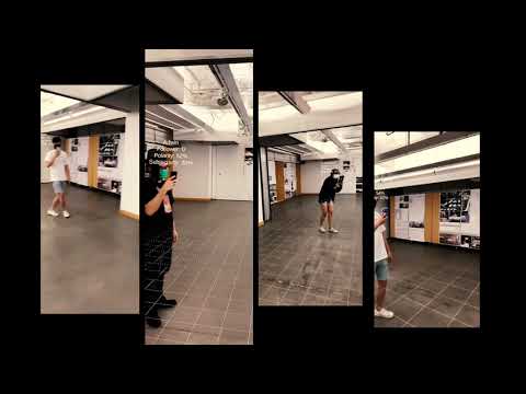 Virtual Social Space Projection 2019 - Data Harvesting Research with GH-Python