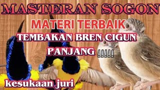 MASTERAN SOGON MATERI TERBAIK!!! TEMBAKAN BREN CIGUN PANJANG