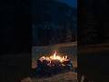 Relax by the fire: Bugs + Flames #firepits #natureambience #whitenoise #ambientsounds #sleepsounds