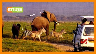 Maafisa wa KWS na wadau wazoa taka kwenye barabara ya Mombasa-Nairobi screenshot 4