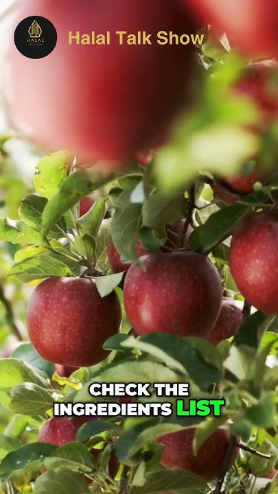 Is Apple Cider Halal applecider food halaltalkshow YouTube is-apple-cider-halal-applecider-food-halaltalkshow-youtube