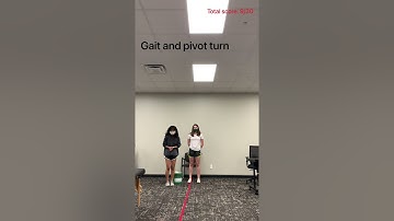 Functional gait assessment video (FGA)