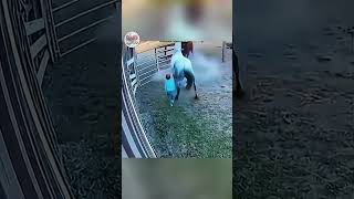 God save ! #dmonews #humaninterest #saveanimals #lifchanging #breakingnews