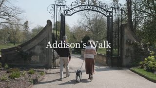 Addison's Talks: A virtual tour of Addison's Walk at Magdalen College Oxford