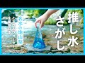 推し水さがし