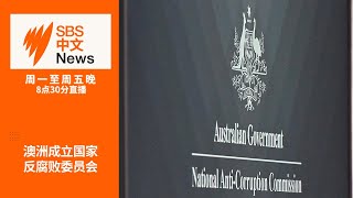 澳洲成立首个国家反腐败委员会 | 澳洲投放旅游广告冀吸引中国游客回归【SBS中文新闻直播】