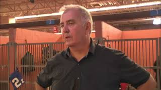July 5, 2024 - Interview with Trainer Noel Daley