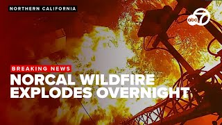 Park Fire explodes to over 45k acres, forces evacuations in 2 Northern California counties