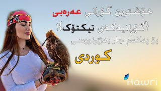 یابوردە ین یابوردە - بۆ یەکەم جار بەژێرنووسی کوردی Resimi