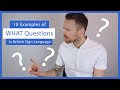 10 Examples of "What" Questions in BSL