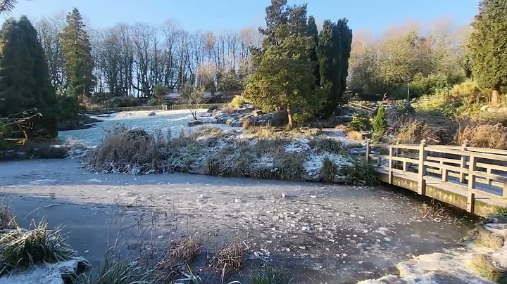 Frozen pond in the Japanese Garden in Avenham and ...