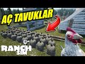 DOYMAK BİLMEYEN TAVUKLARA KAMYONLA YEM TAŞIYORUZ | RANCH SIMULATOR !!