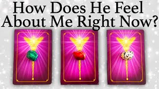 💕WHAT DOES HE/SHE THINK AND FEEL ABOUT ME RIGHT NOW?💕| 🔮Pick A Card🔮 | Love Tarot Reading (Timeless)