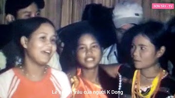 Lễ hội ăn trâu của người K Dong - Sơn Tây