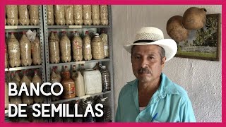 Conoce el BANCO DE SEMILLAS del Ejido Ayotitlán, Jalisco