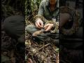 POV: Tiny Camera Strapped to a Python! 🐍 | Underground Secret Colony