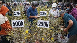 Download Lagu 24 Tết bà con chen chúc mua cây mai giá rẻ 300k, 400k tại Bến Bình Đông Quận 8 MP3