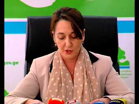 ნაძვის ხის მოჭრის აკრძალვა და ბორჯომელების პოზიცია