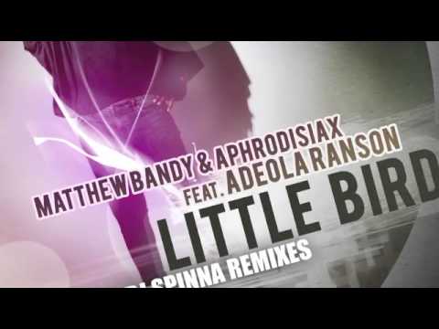 Little Bird - Matthew Bandy & AphroDisiax feat Ade...