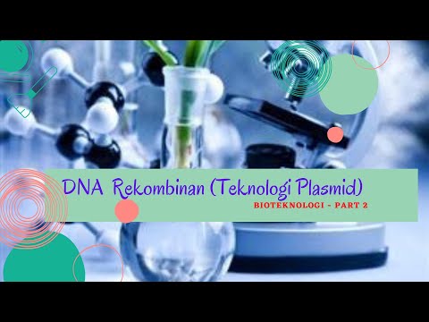 Video: Bagaimana para ilmuwan membangun molekul DNA rekombinan?