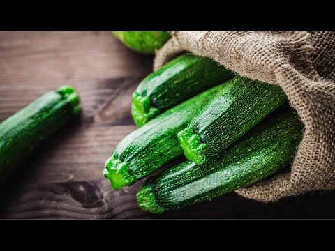 Recipes for Zucchini - 15 Easy Zucchini Recipes! hqdefault
